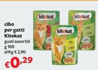 Pam Cibo per gatti offerta