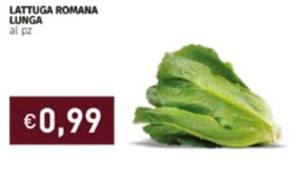 Prezzemolo e Vitale Lattuga Romana lunga offerta