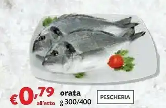 Panorama Orata offerta