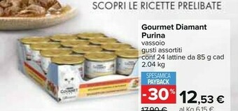 Carrefour Purina Cibo per gatti offerta