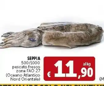 Deco Supermercati Seppia 500/1000 offerta