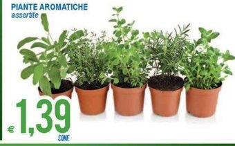 MD Discount Piante Aromatiche assortite offerta