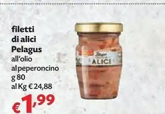 Pam Pelagus Filetti Di Alici All'Olio offerta