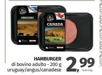 Pam Hamburger Di Bovino Adulto offerta