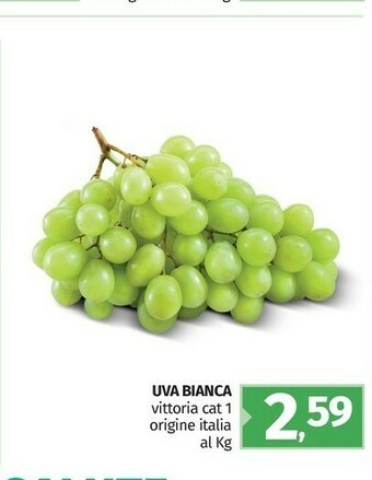 Pam Uva Bianca offerta