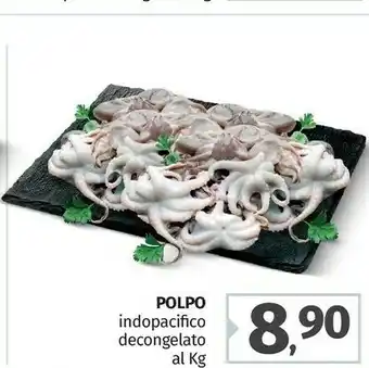 Pam Polpo Indopacifico Decongelato offerta