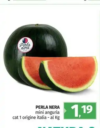 Pam Perla Nera Mini Anguria offerta