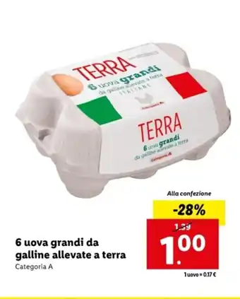 Italmark 6 uova grandi da galline allevate a terra Categoria A offerta