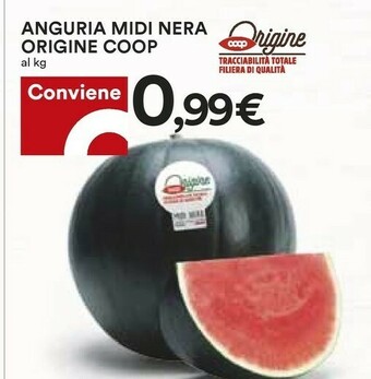 Coop Carne offerta
