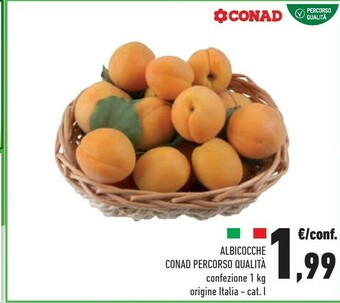 Conad Albicocche offerta