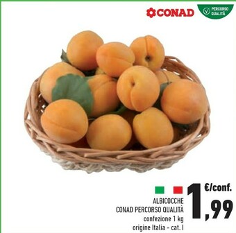 Conad Conad Albicocche offerta