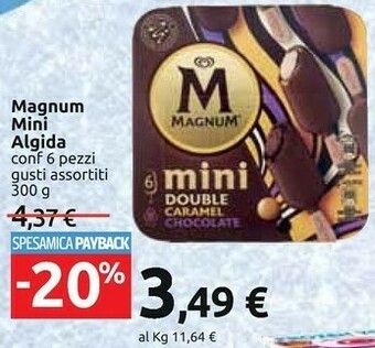 Carrefour Algida Magnum Mini Double 300 G(ml) offerta