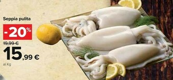 Carrefour Seppie offerta