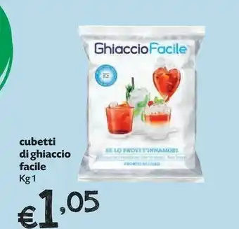 Pam Cubetti Di Ghiaccio Facile offerta