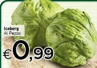 Iceberg