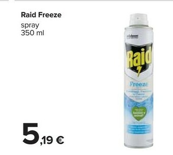 Carrefour Raid Insetticida offerta