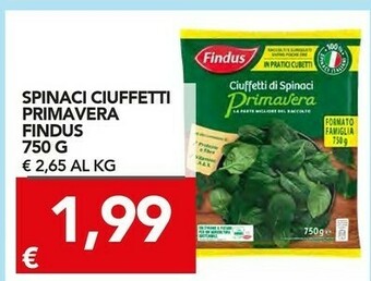 TuoDi Findus Spinaci offerta