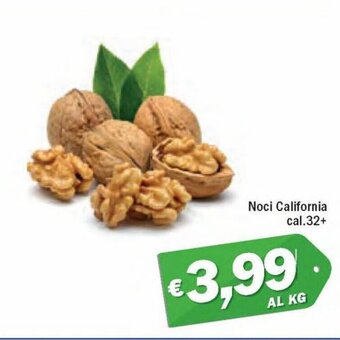 Noci California cal.32+