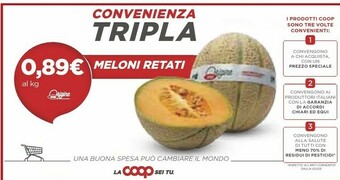 Coop Melone offerta