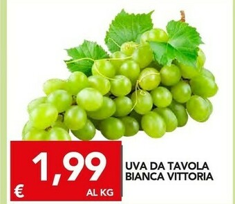 TuoDi Uva offerta