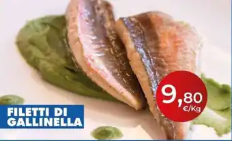 Terramare Surgelati Filetti di Gallinella offerta