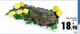 Conad Superstore Rana pescatrice fresca offerta