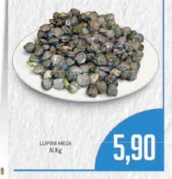 Supermercati Piccolo Lupini Medi offerta