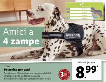 Lidl Zoofari Pettorina per cani offerta