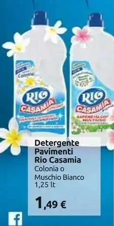 Carrefour Rio Casamia Detergente Pavimenti offerta