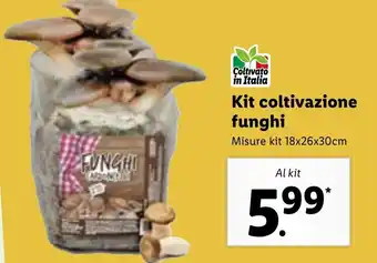 Lidl Kit coltivazione funghi offerta