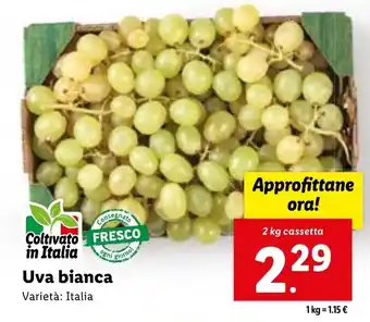 Lidl Uva bianca 2 kg offerta