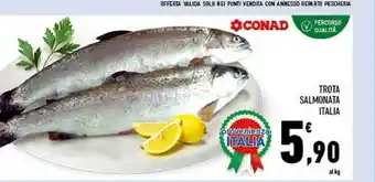 Conad Conad Trota Salmonata offerta