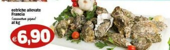 Bonduelle Insalata