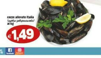Gros Frutti di mare offerta