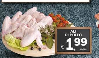 Ali Di Pollo
