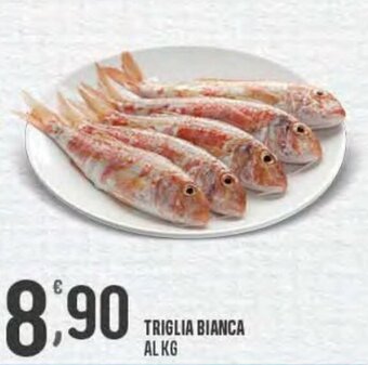 Eurospar Triglia Bianca offerta