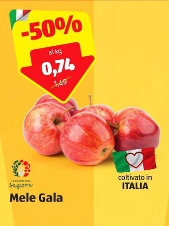 ALDI Mele gala offerta