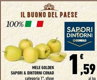 Conad Conad Sapori & Dintorni Mele Golden offerta