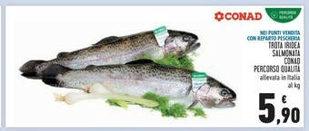 Conad Trota Iridea Salmonata Conad Percorso Qualità offerta