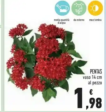 Conad Pentas Vaso offerta