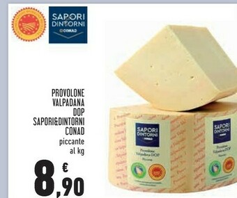 Conad Conad - Provolone Valpadano DOP Piccante offerta