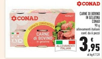 Conad Carne in scatola offerta
