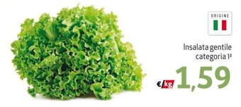 Insalata gentile