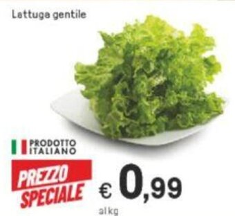 Iper La Grande Lattuga gentile offerta