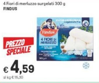 Iper La Grande Findus 4 Fiori di merluzzo surgelati 300 g offerta