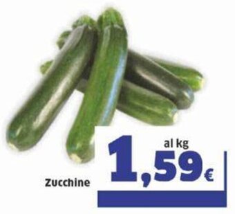 Sigma Zucchine offerta