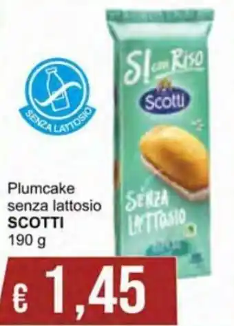 Scotti Plumcake senza lattosio 190 g