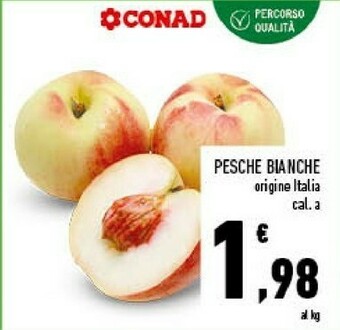 Conad City Pesche Bianche offerta