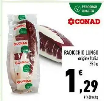 Conad City Radicchio Lungo offerta