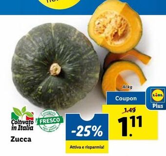 Lidl Zucca offerta